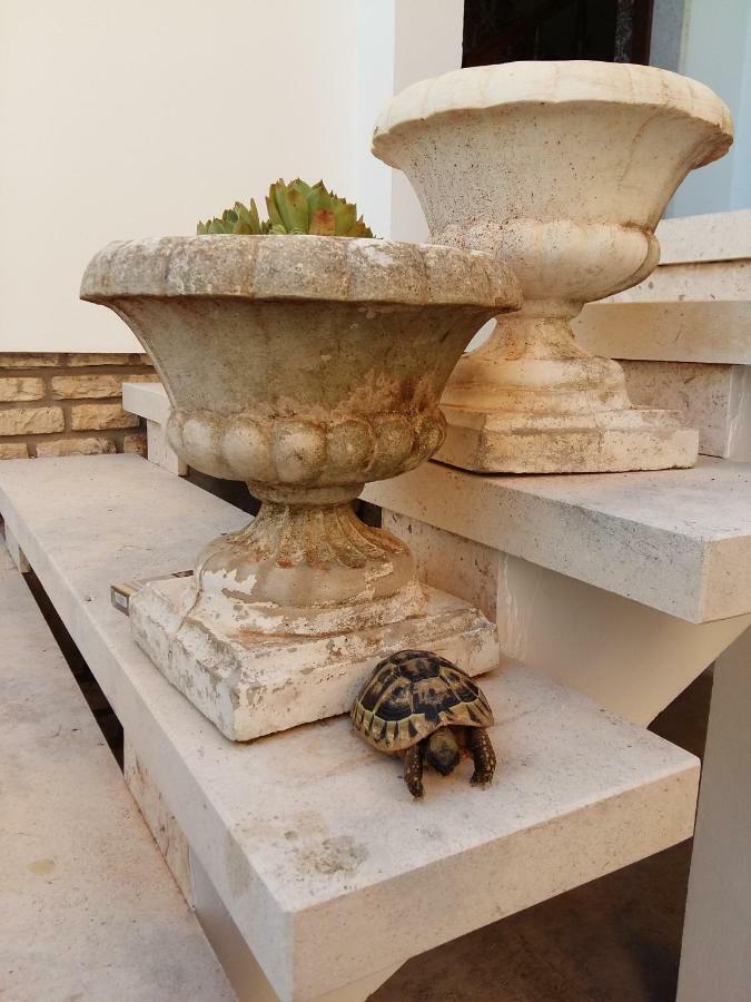 Villa Feodora Biograd Na Moru Exterior foto